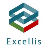 Excellis Holding