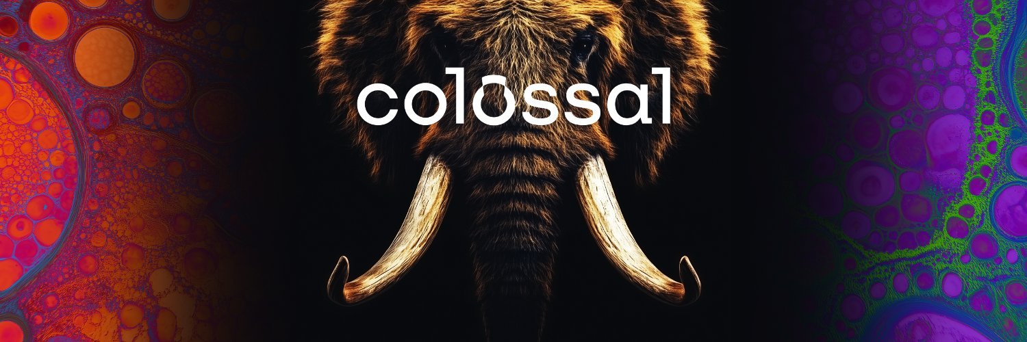 Colossal
