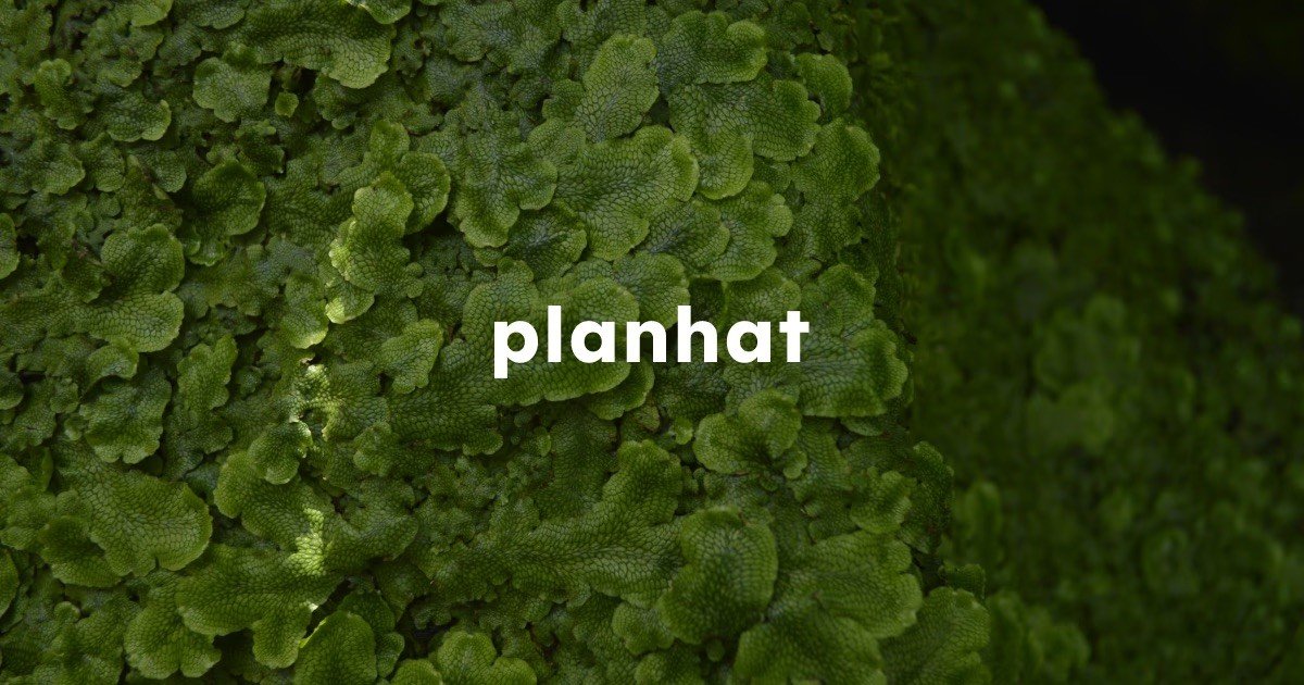 Planhat