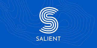 Salient